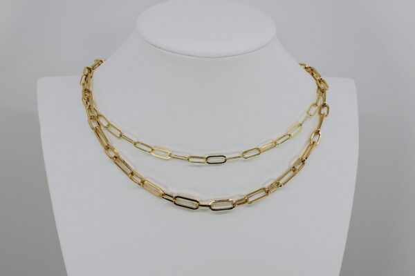 Double-layered gold chain necklace with elongated links.